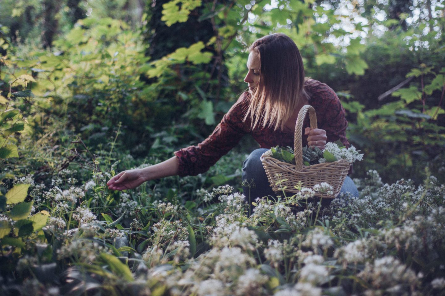 Wild Foragers Society